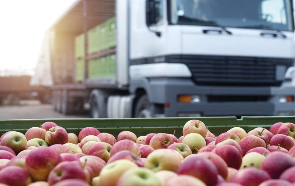 perishible items supply chain audit