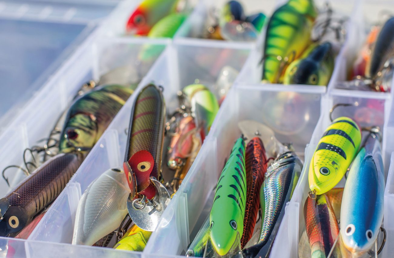 Set of fishing lures