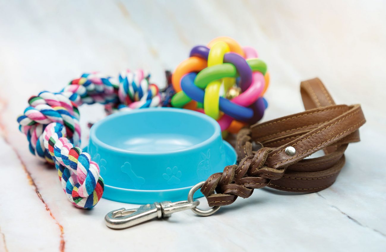 Pet supplies concept.  Pet leather leashes, brush and rubber toy