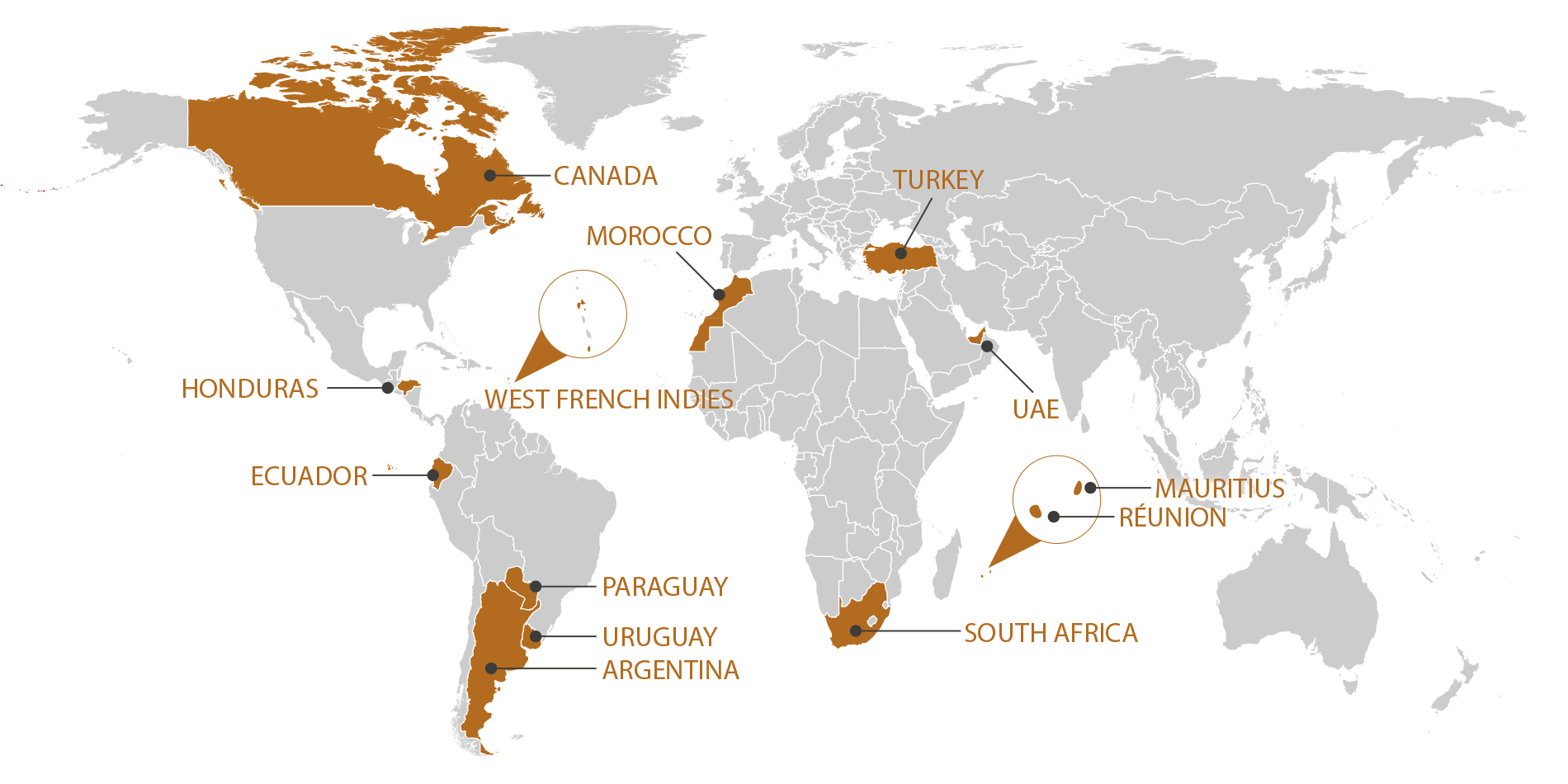 RGIS_FRANCHISE_WORLD_EN_1125.